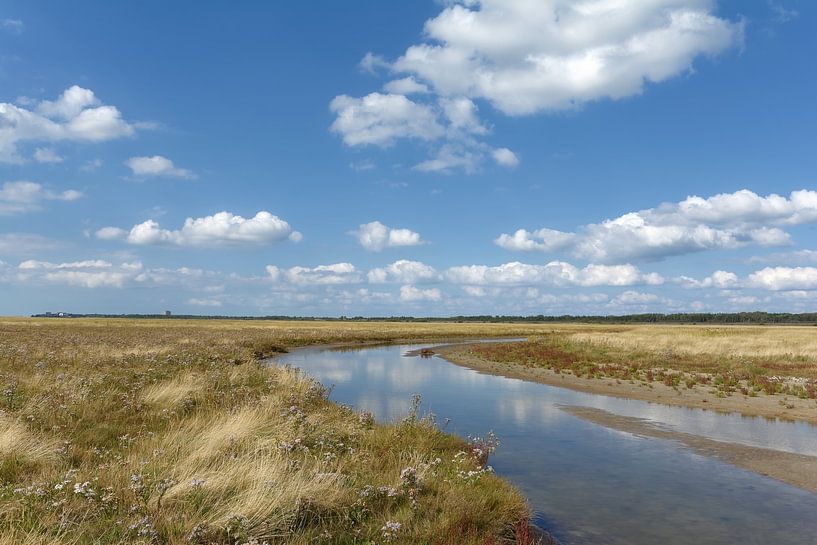 Zoutpannen in Sankt Peter-Ording van Peter Eckert