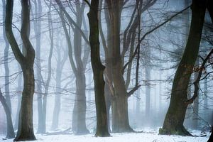 Danse De La Neige