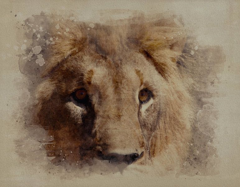 The Lion lurking from the bushes by Frans Gesell
