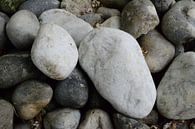 Rock or Stone van Alexander van der Dussen thumbnail
