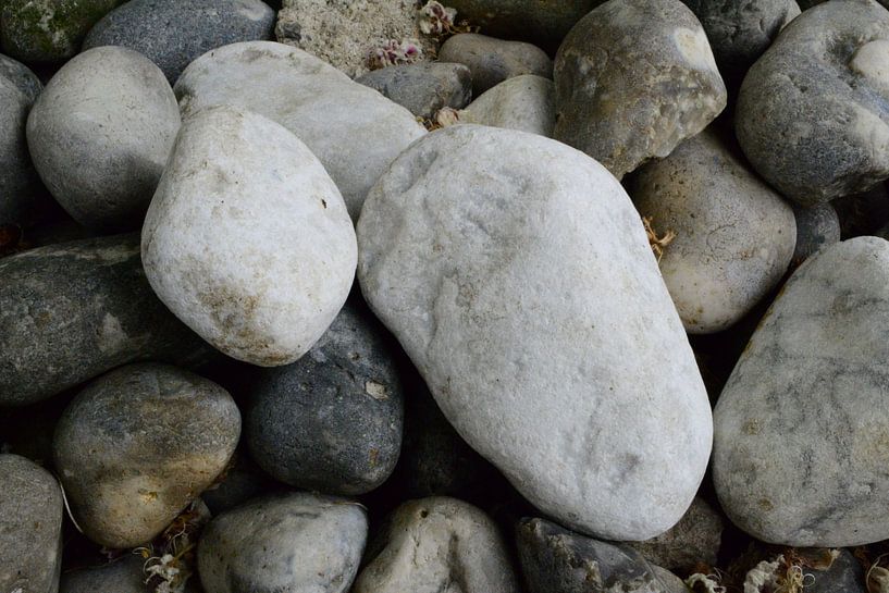 Rock or Stone van Alexander van der Dussen