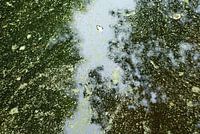 waterspiegeling in september, Gaasperplas