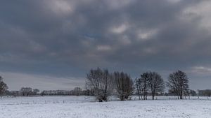 a winter landscape von Koen Ceusters