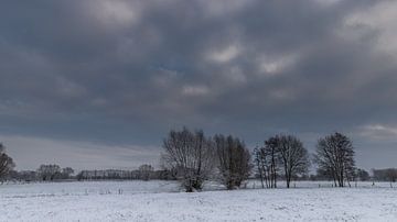 a winter landscape