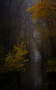 bij het kanaal van andreas dauer