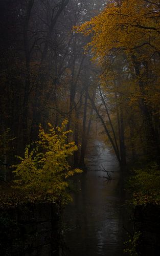 by the canal