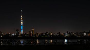 Skytree von Tokio