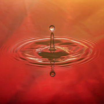Druppels in rood water van Thomas Heitz