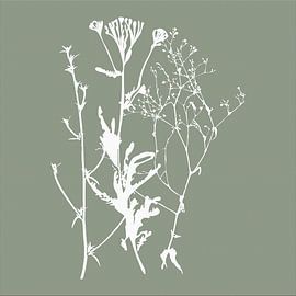 Botanica Delicata. Abstract Retro Botanical in  soothing moss green and white by Dina Dankers