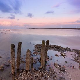 Posts on the mud flats by KB Design & Photography (Karen Brouwer)