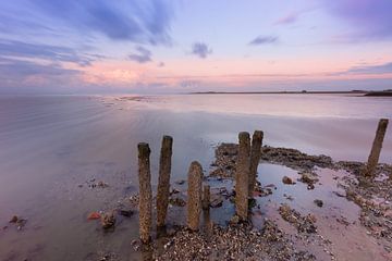 Stöcke auf dem Wattenmeer von KB Design & Photography (Karen Brouwer)