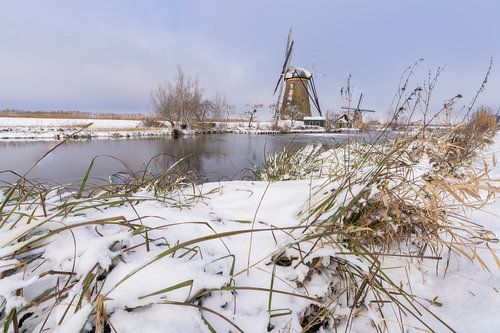 Winter in Kinderdijk
