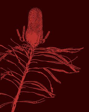 Roze Plant | Illustratie | Natuur | Tekening van Jansje Kamphuis
