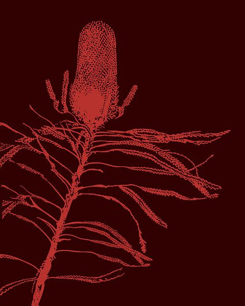 Roze Plant | Illustratie | Natuur | Tekening van Jansje Kamphuis
