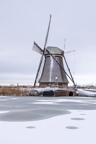 Molen werelderfgoed Kinderdijk in de sneeuw van Mark den Boer