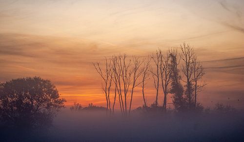 Misty Sunrise
