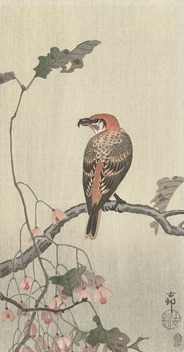 Kreuzschnabel auf einem Ast des Ohara Koson