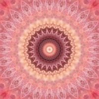 Mandala dream in pink