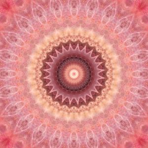 Rêve de Mandala en rose