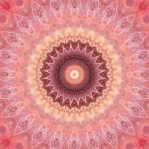 Mandala dream in pink