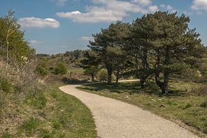 Kennemerduinen, Noord-Holland