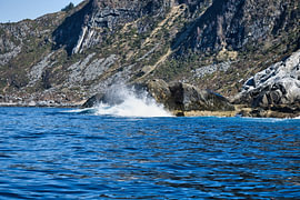 Norway by the fjord, spray on the rocks. Water splashes against the stones. Coastal landscape. by Martin Köbsch