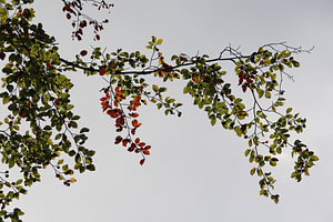 Ende des Sommers
