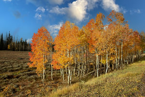 Indian Summer, Herbst in Kanada