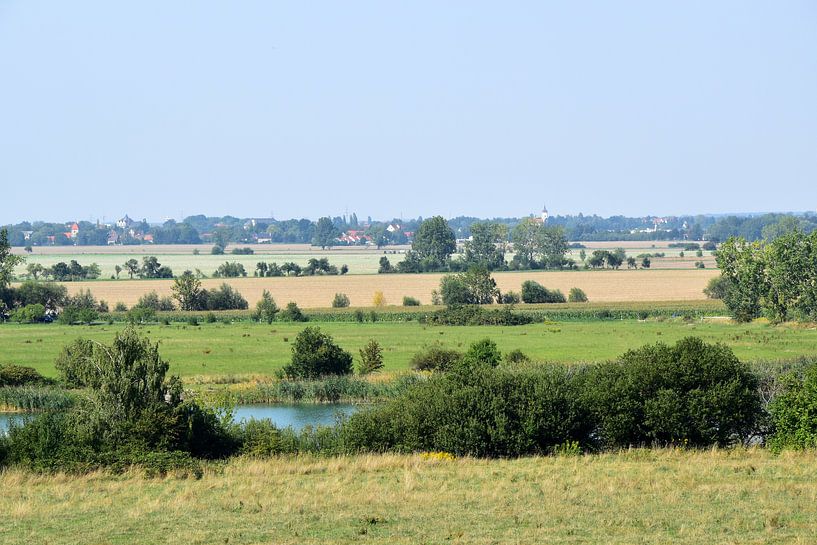 Landschaft Holzhausen Leipzig von Marcel Ethner