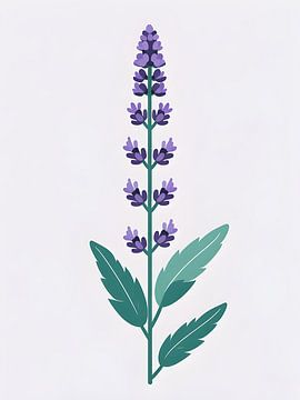 Peaceful Lavender by Giandra Safaraz