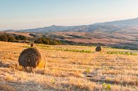 Hooibalen op de heuvels van Toscane van Damien Franscoise thumbnail