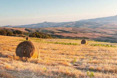 Hay bales on the hills of Tuscany