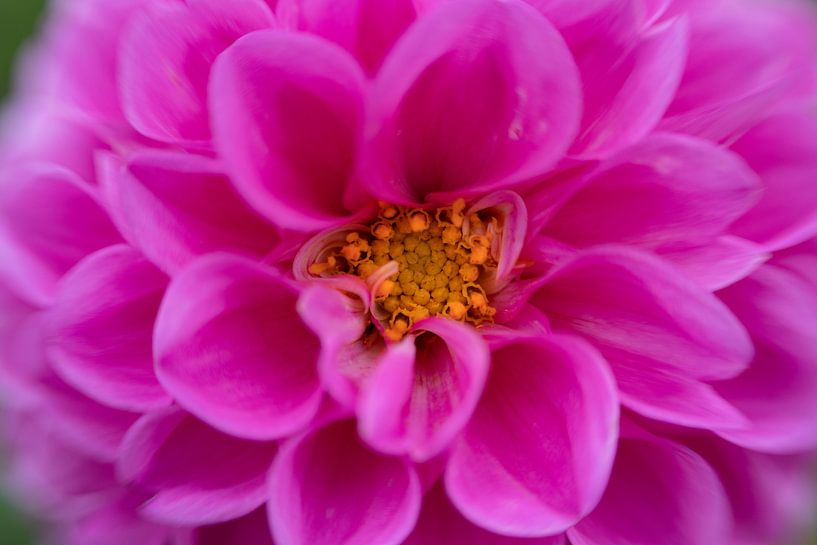 Nice ball. by Monique van Helden