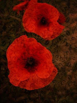 brocade poppies by Jo Beerens