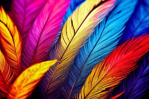 Colourful feathers background illustration by Animaflora PicsStock