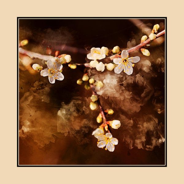  Frühlingsblüten (mit Passe-Partout) von Art by Jeronimo