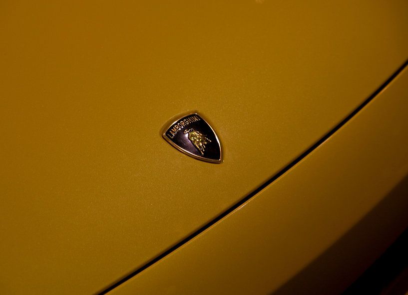 Lamborghini auto van Thijs Schouten