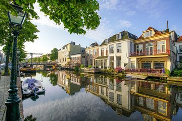 Nieuwe Rijn Leiden van Dirk van Egmond