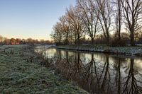 Blauer Himmel und verspiegelte Bäume, Markdal Breda