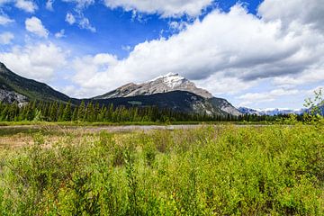 Mountain View van Bart Burkels