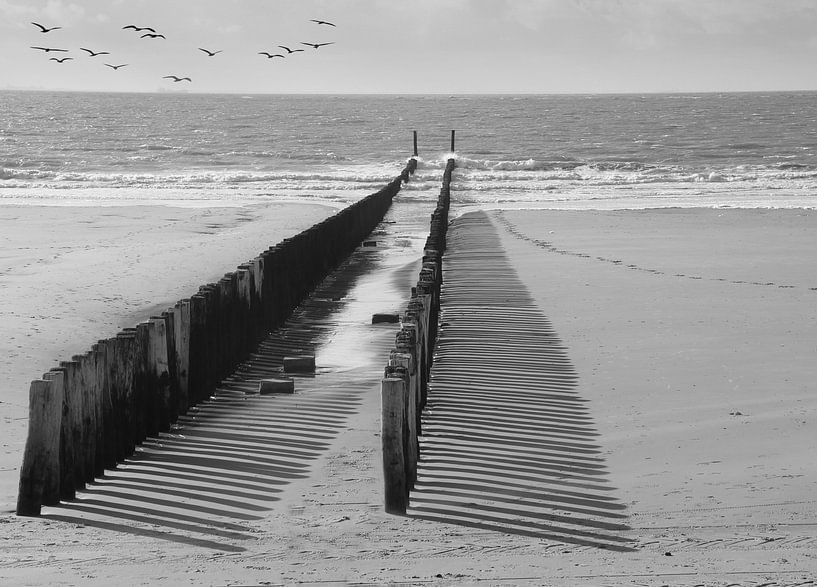 Säulenköpfe Zeeland in schwarz und weiß von Jose Lok