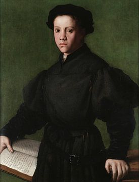 Portret van Lorenzo Lenzi, Bronzino