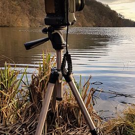 Maurice Cobben Profile picture