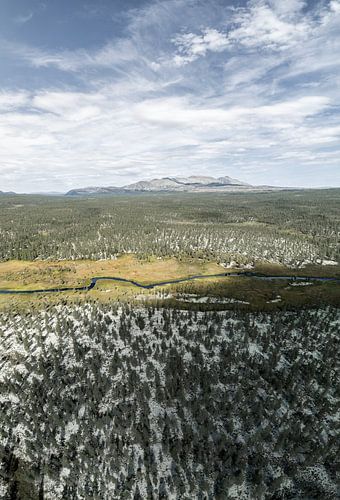 Norwegische Naturlandschaft – Luftaufnahme von Fluss und Tundra bei Sølen
