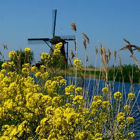 Lente in Kinderdijk by angela de baat