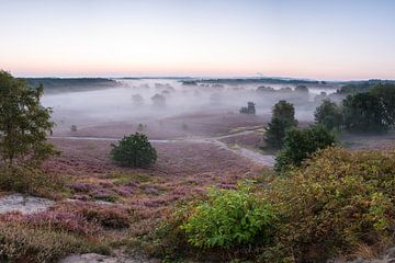 Ochtendgloren op de Brunssummerheide van Peter Lambrichs