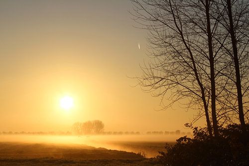 Gloed sur Ruth Van Nierop - Dirks