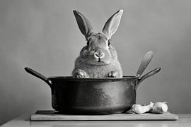Kaninchen Kochtopf von Poster Art Shop