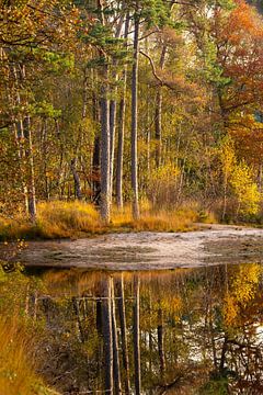 Herfst weerspiegeld in het water. van Els Oomis