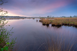 zonsopkomst kalmthoutse heide van fotografie  en art from the heart